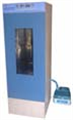 Constant Temperature & Humidity Incubator 250HL